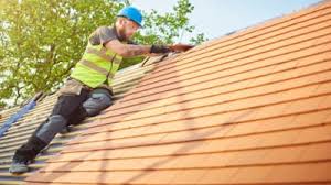 Best Emergency Roof Repair Services  in Nett, MO
