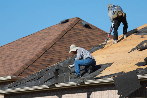Best Sheet Metal Roofing  in Nett, MO