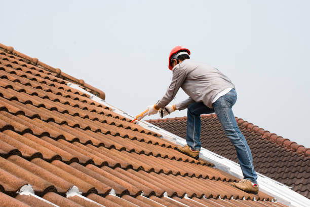 Best Roof Leak Repair  in Nett, MO