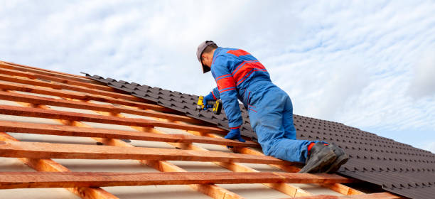 Best Metal Roofing Installation  in Nett, MO